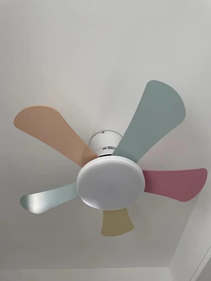 Customer photo review of Petalo Ceiling Fan Light With Six Petal-Shaped Wood Blades and DC Motor