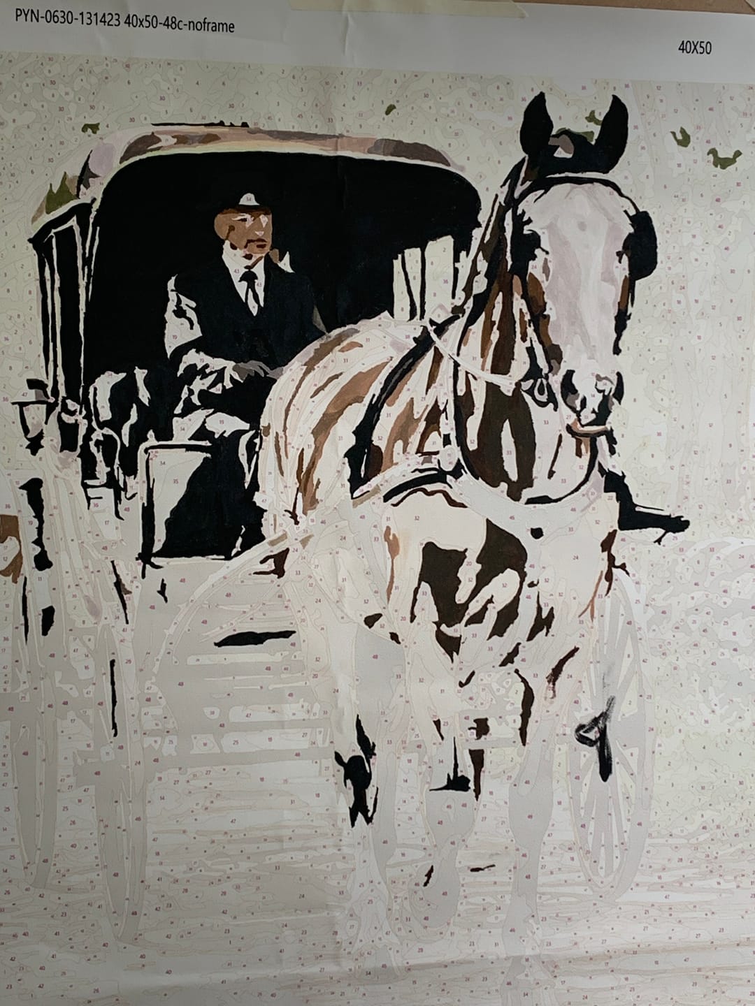 Customer photo review of Custom Paint By Numbers Kit