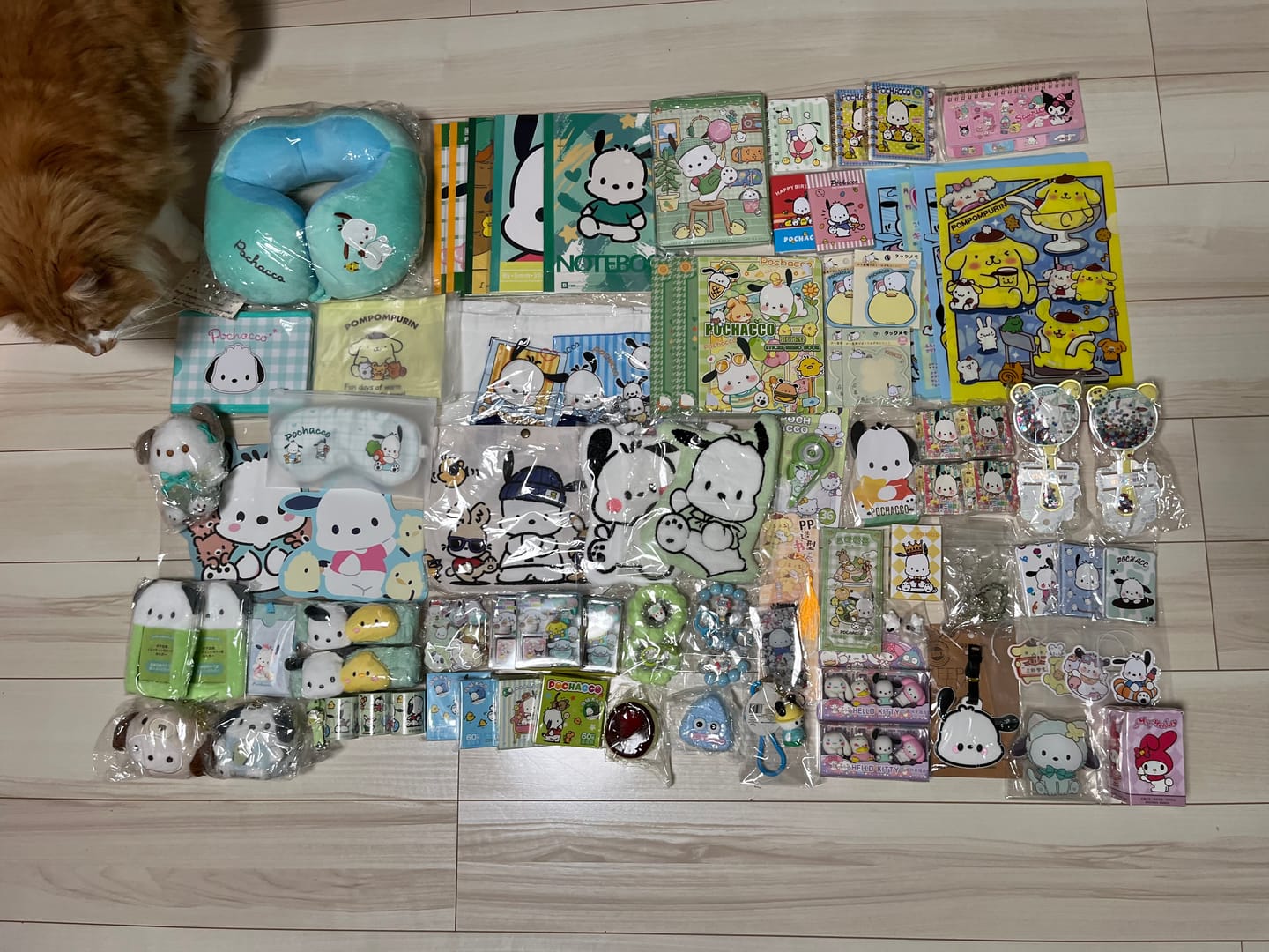 Customer photo review of A-Mystery Lucky Scoop Game