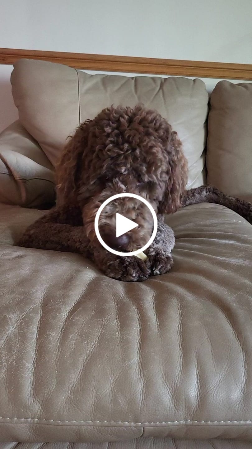 Customer video review of Banana Yak Chew — Rich in Vitamins, Potassium & Energy
