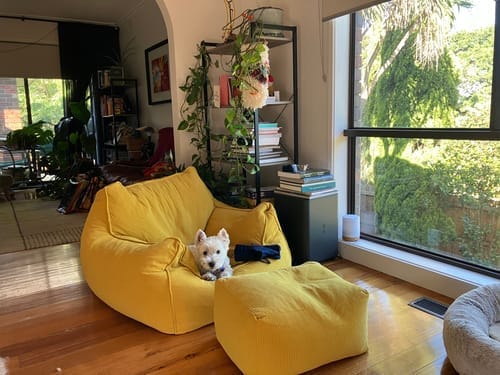 Customer photo review of DODO BEAN BAG - CORDUROY BABY PINK