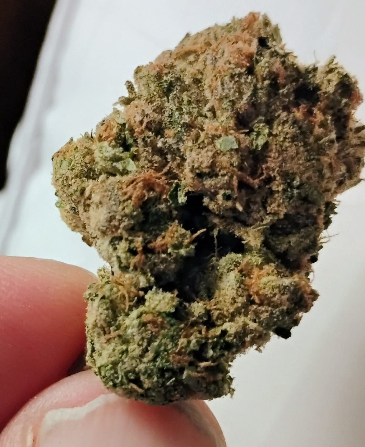 Customer photo review of Lemon Cherry Gelato - Indoor - 4 Grams - Hybrid