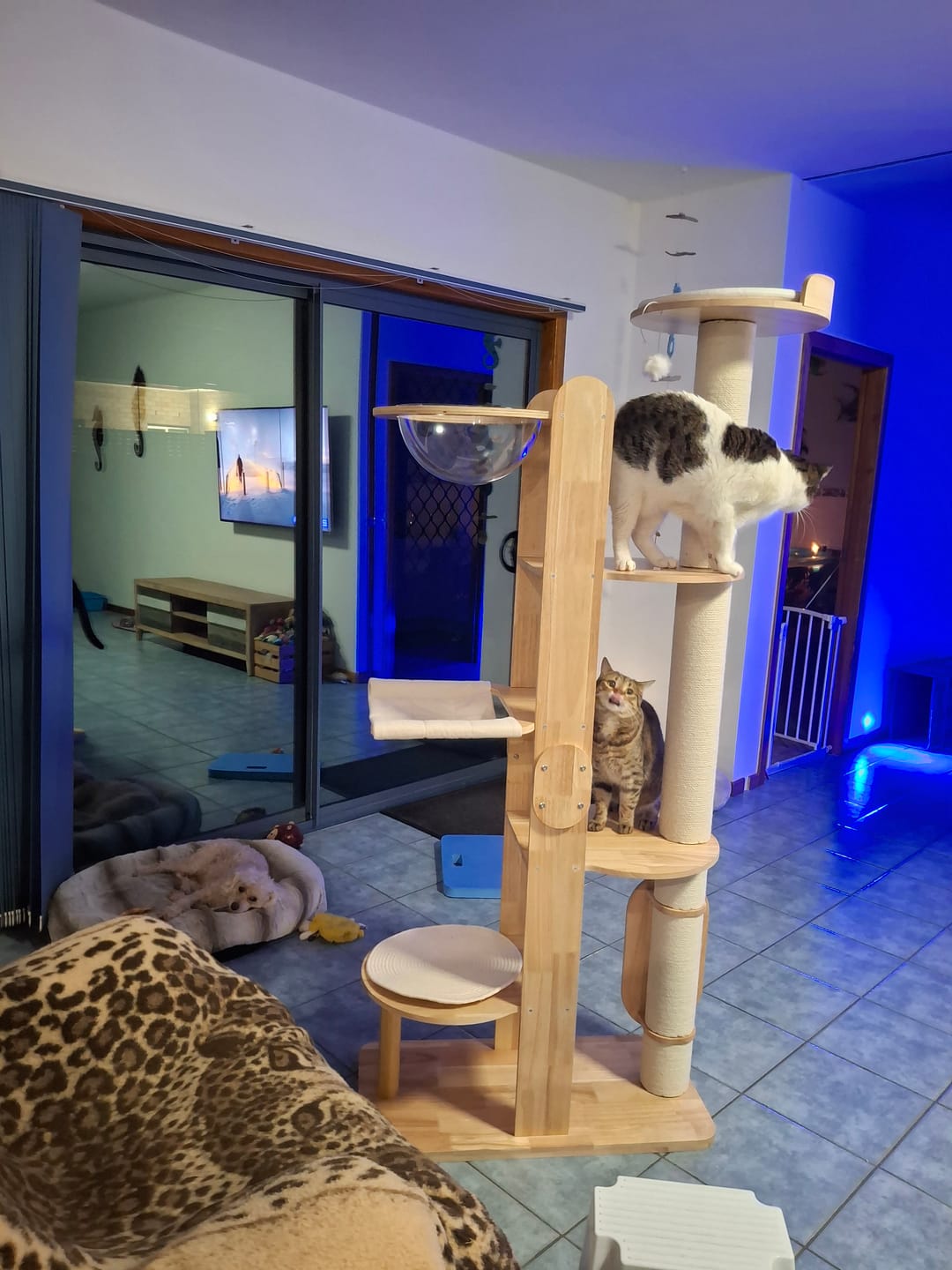 Customer photo review of Solid Wood Multi-Level Cat Tower - 183cm