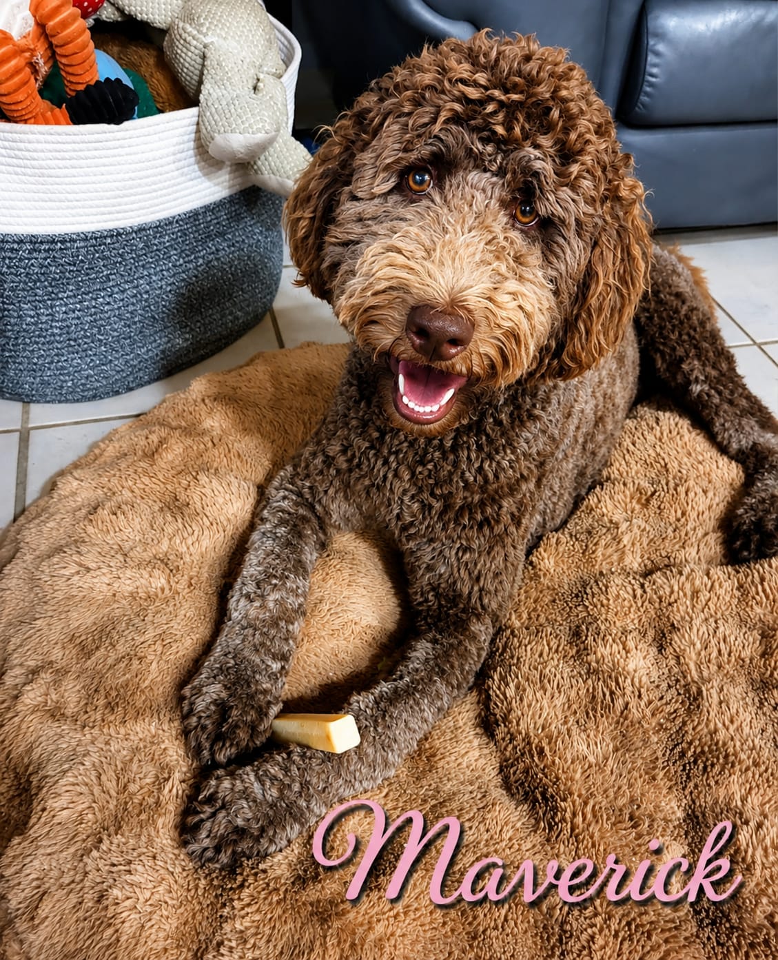 Customer photo review of Pumpkin Yak Chew — Fiber-Rich, Supports Digestion Naturally