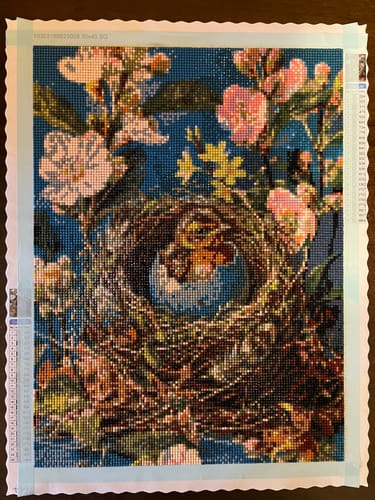 Customer photo review of Baby Bird Nest Flowers (Diamond Painting)
