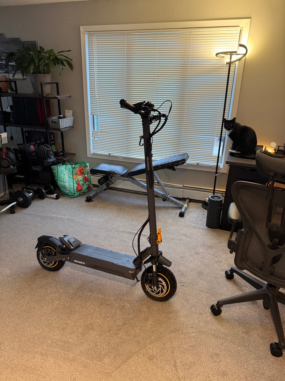 Customer photo review of Ausom K20 Pro (Laluz 2 Pro) Dual Motor E-Scooter
