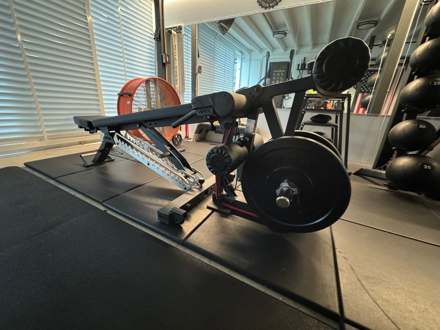 Customer photo review of APEX LEG TRAINER