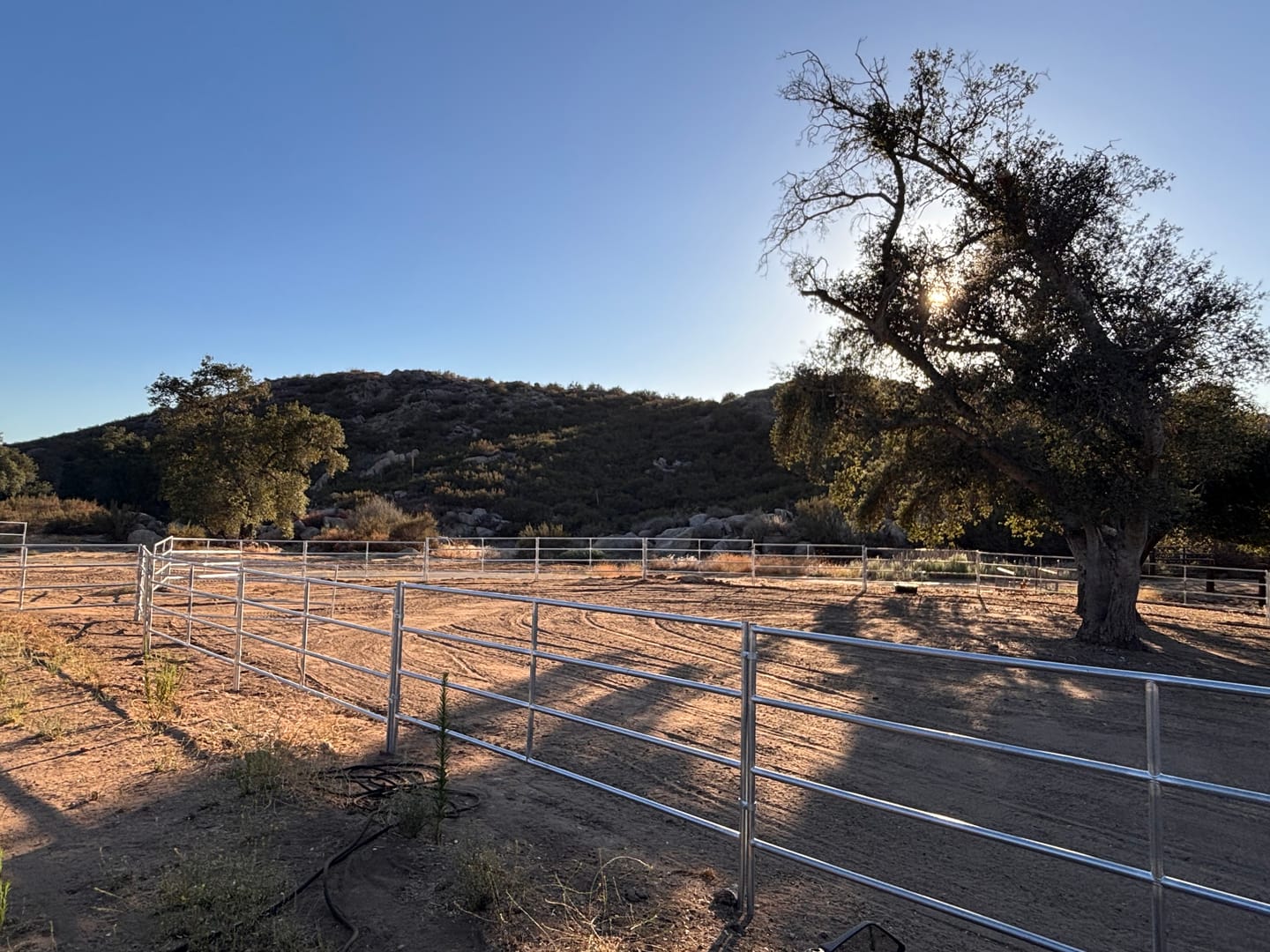 Customer photo review of *LIGHT DUTY* 12x5 Horse Corral Panel | 4-Rail | 16-Gauge | Galvanized