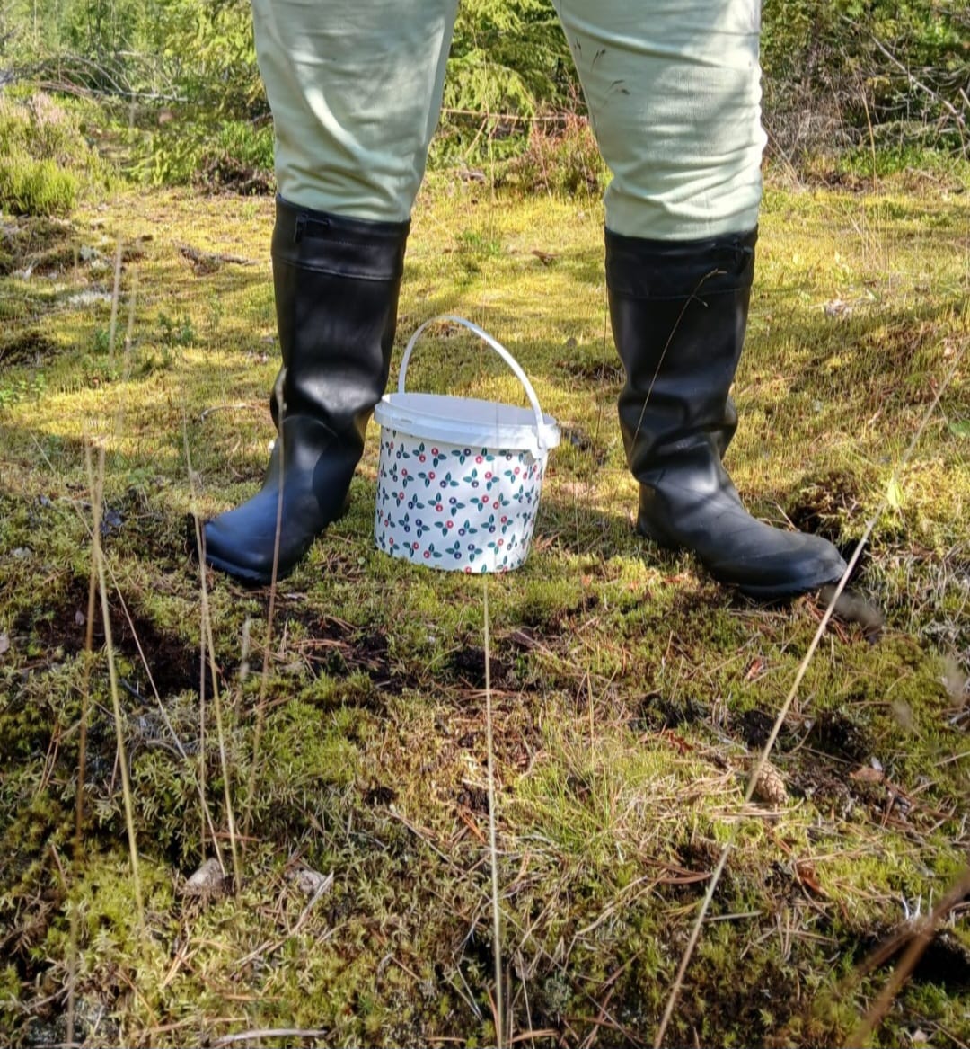 Customer photo review of Vaistoa Katve 2 -paljasjalkakumisaappaat