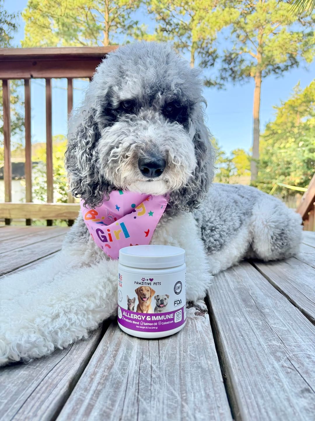 Customer photo review of Dog Allergy Chews for Itchy Skin, Paw Licking & Seasonal Allergies – Immune Support, 120 Soft Chews (Beef Flavor)