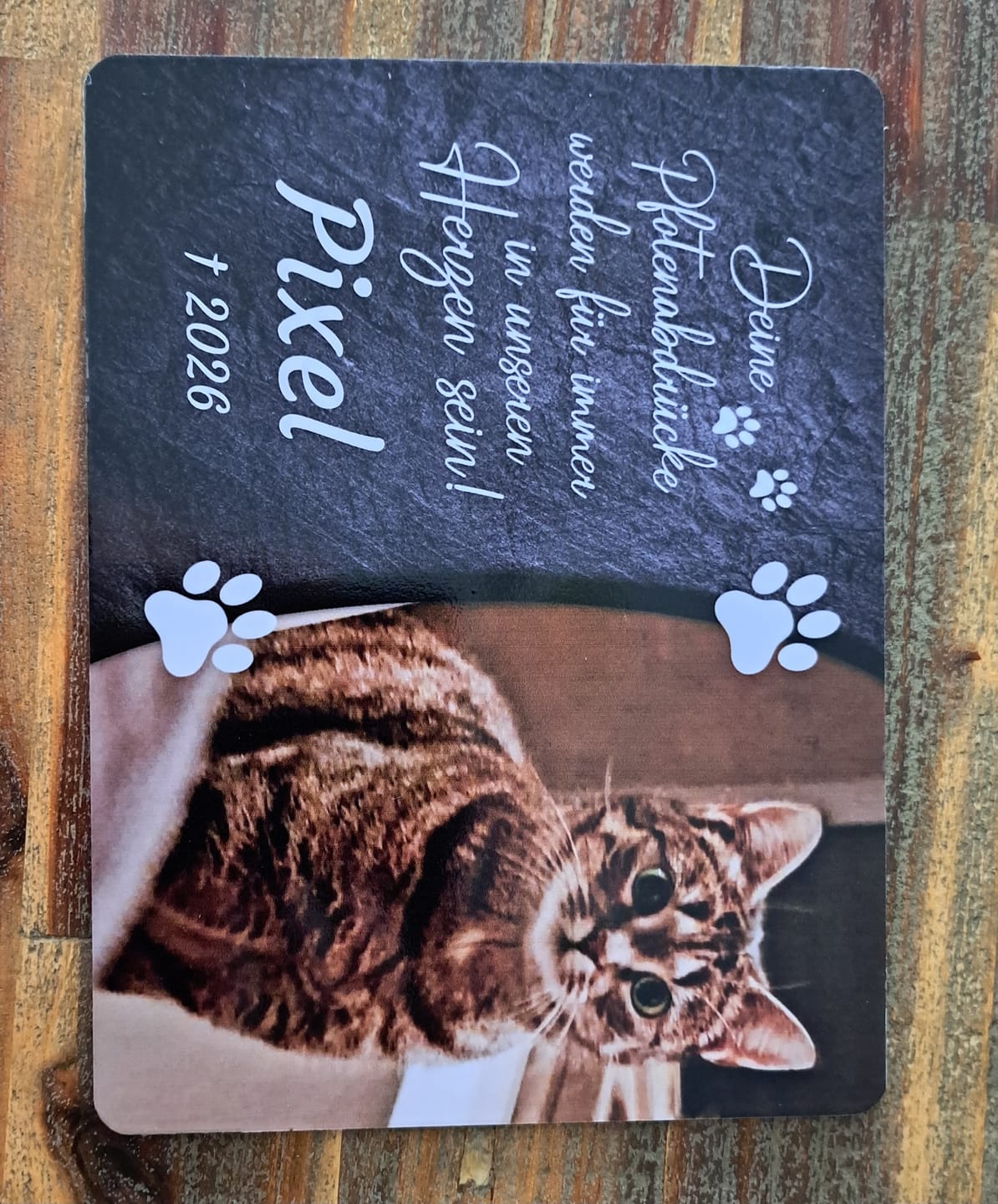 Customer photo review of Katzen Gedenktafel mit Foto & Spruch (UV- & Wetterfest)