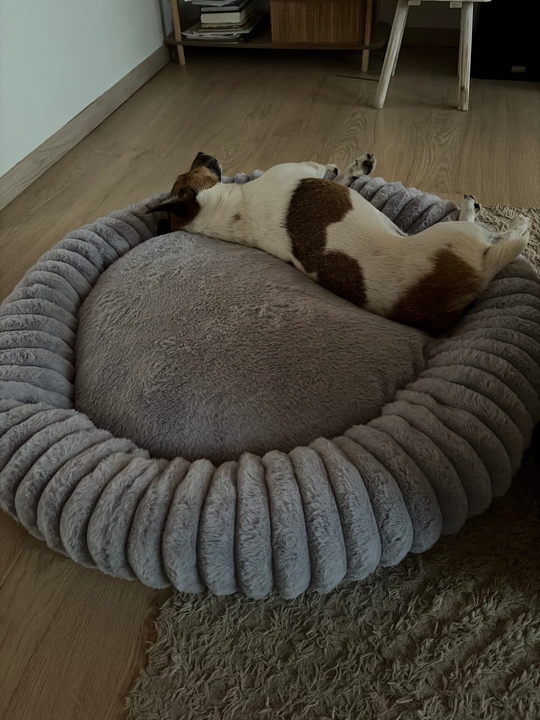 Customer photo review of Pet Perfect Hoes (ENKEL HOES) voor Orthopedische Donutmand - ZONDER VULLING