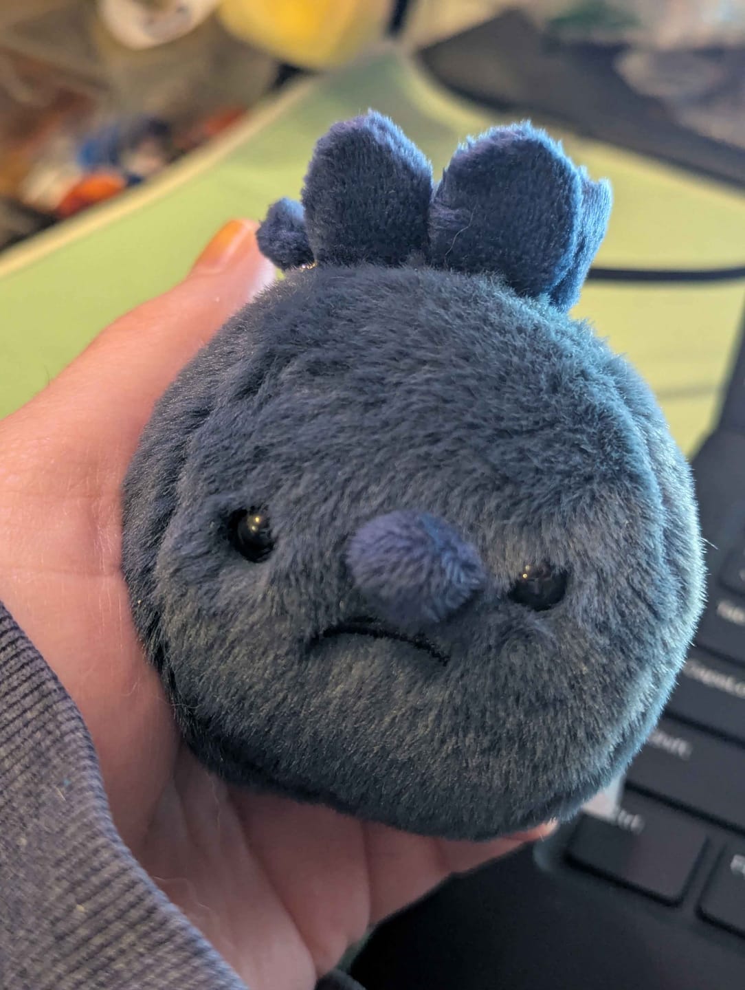 Customer photo review of Forgotten Single Blueberry