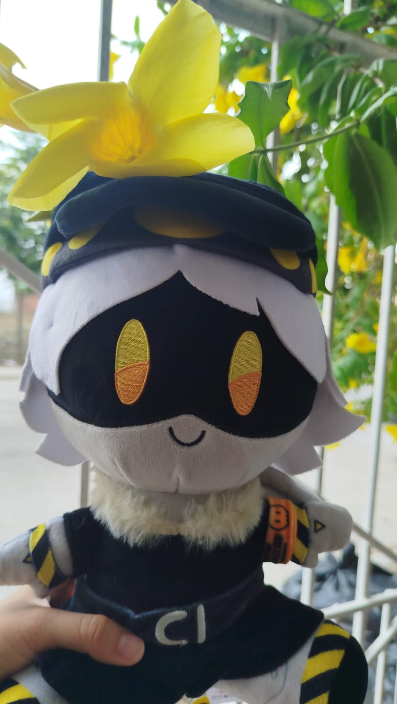 Customer photo review of N Plush