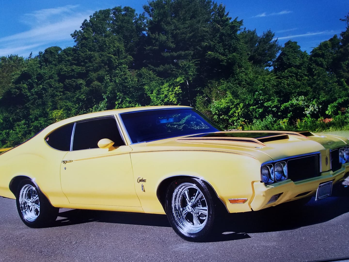Customer photo review of Graphene Tire Dressing