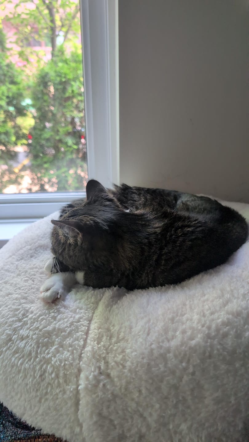 Customer photo review of Marshmallow Pudding Bed
