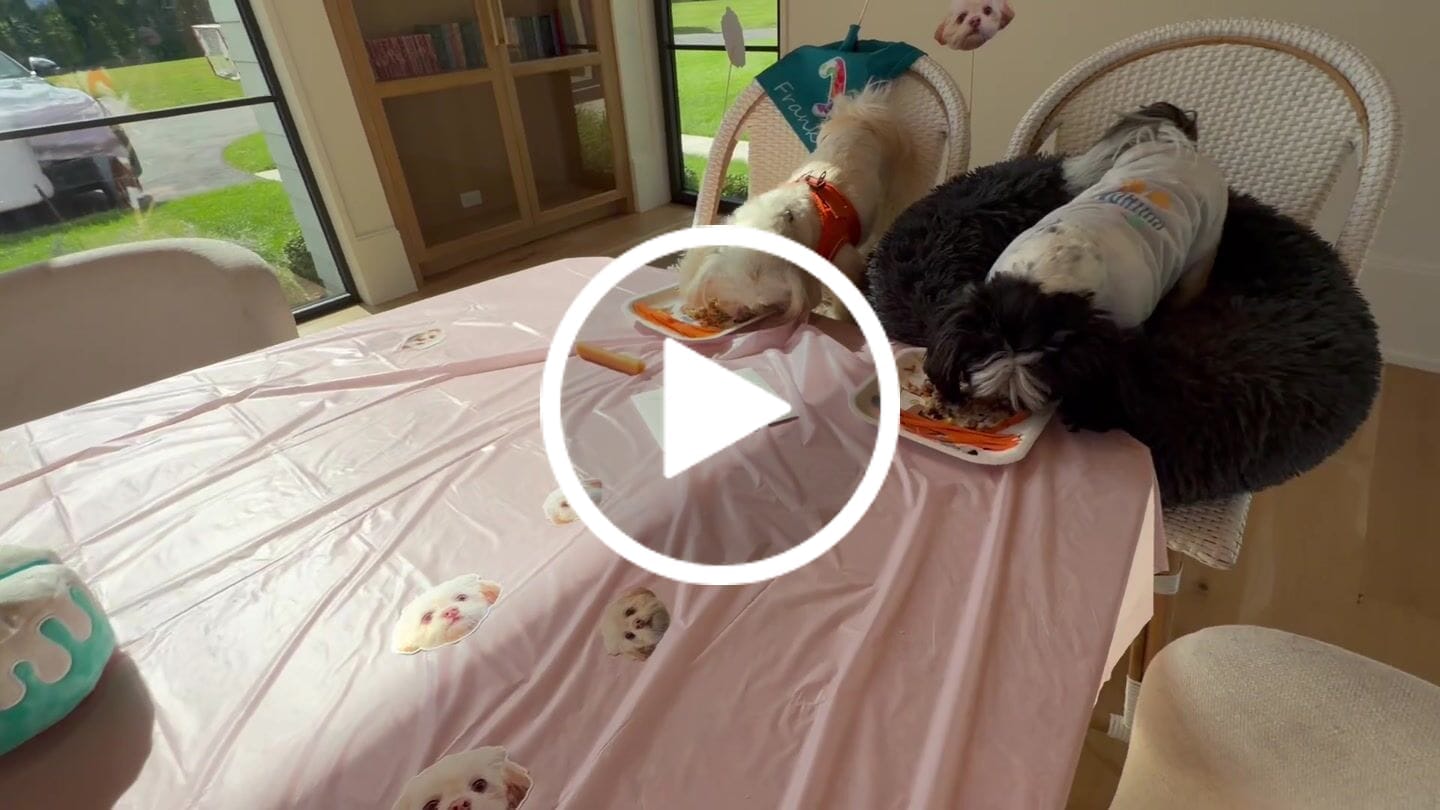 Customer video review of Standard Personalized Dog Party Pack