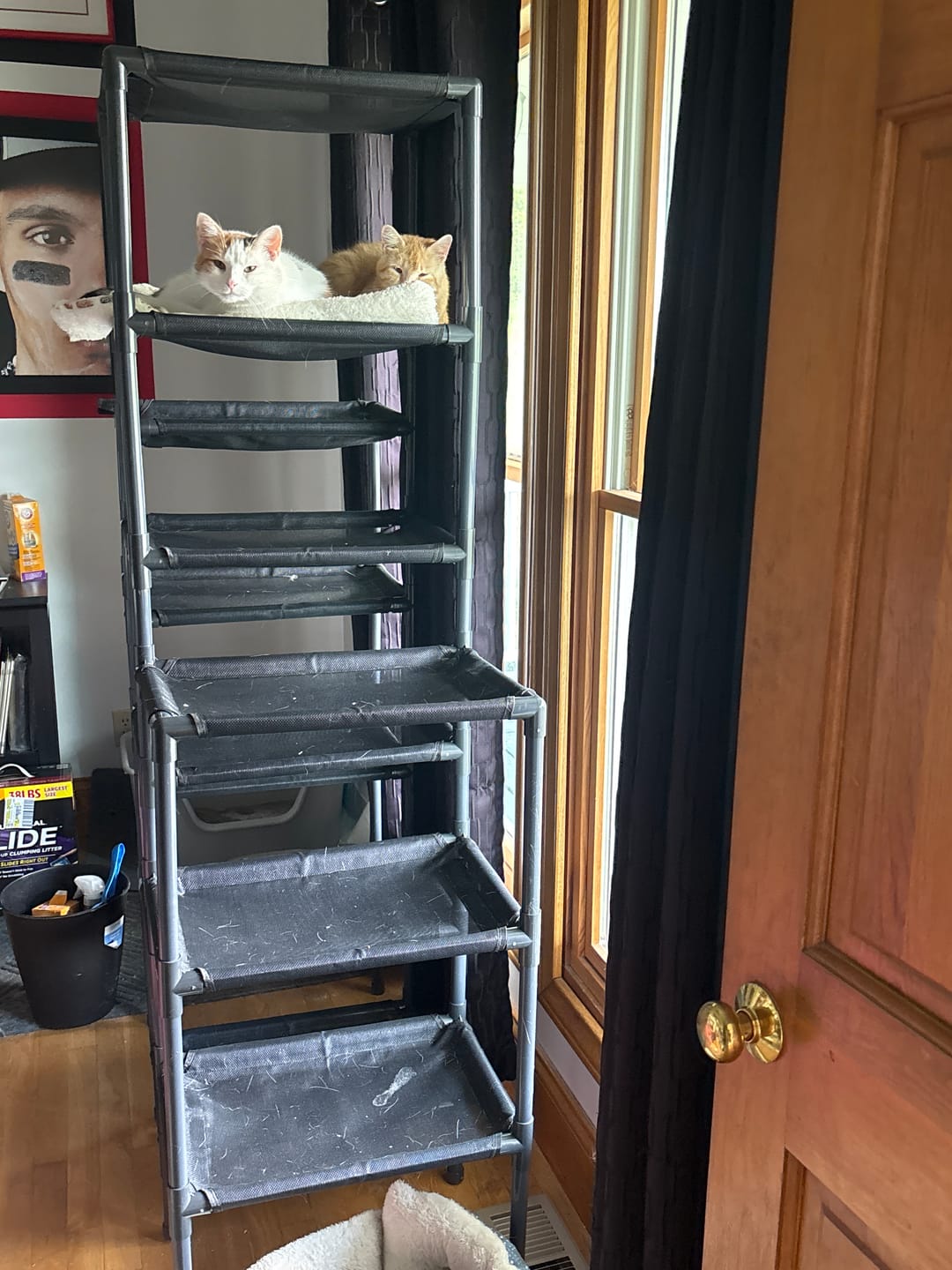 Customer photo review of Durable Cat Tower - SkyRise