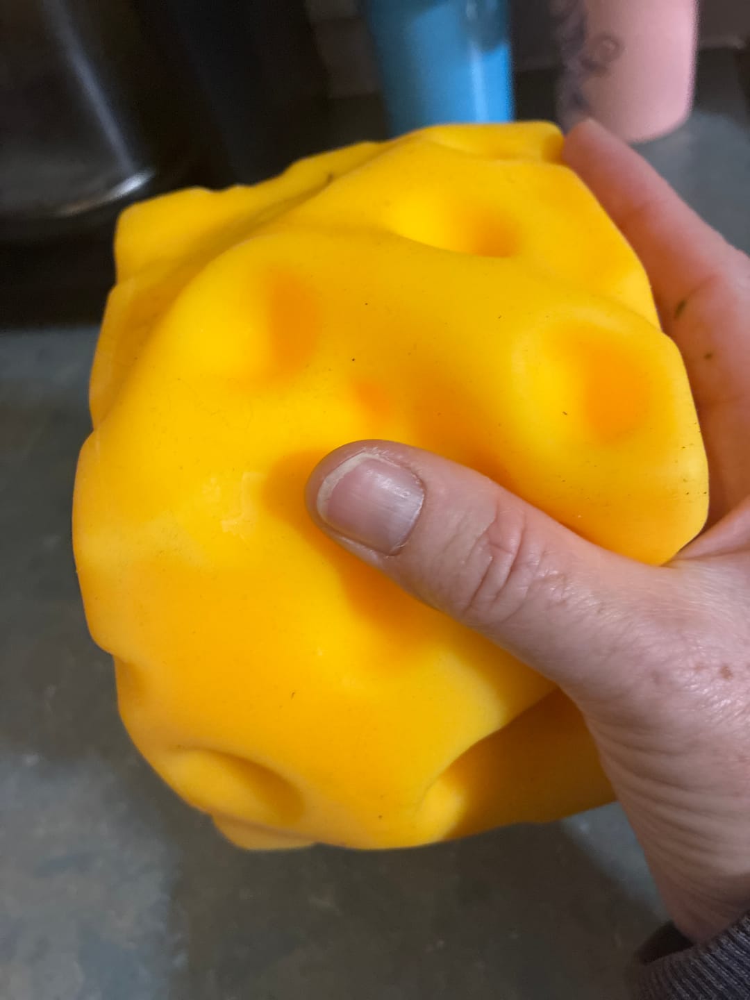 Customer photo review of Giant Durable Squishy Cheese