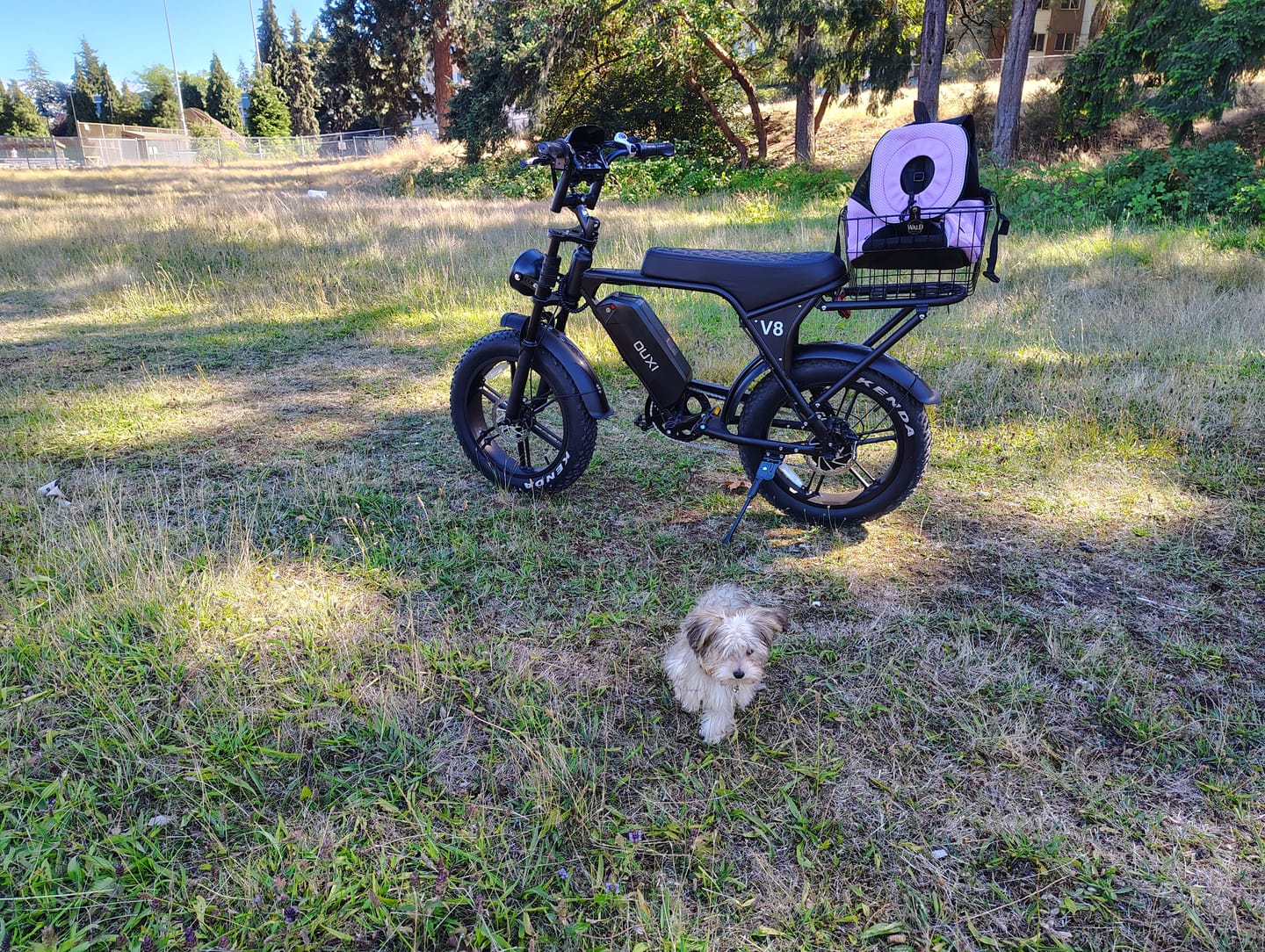 Customer photo review of OUXI V8 750W Fat Tire Electric Bike