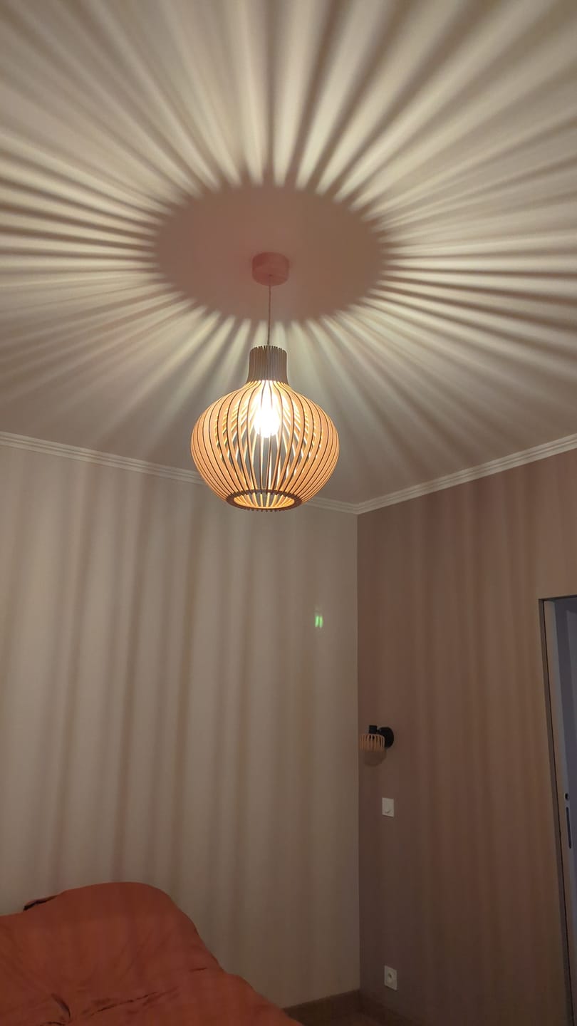 Customer photo review of Ampoule LED E27 12W