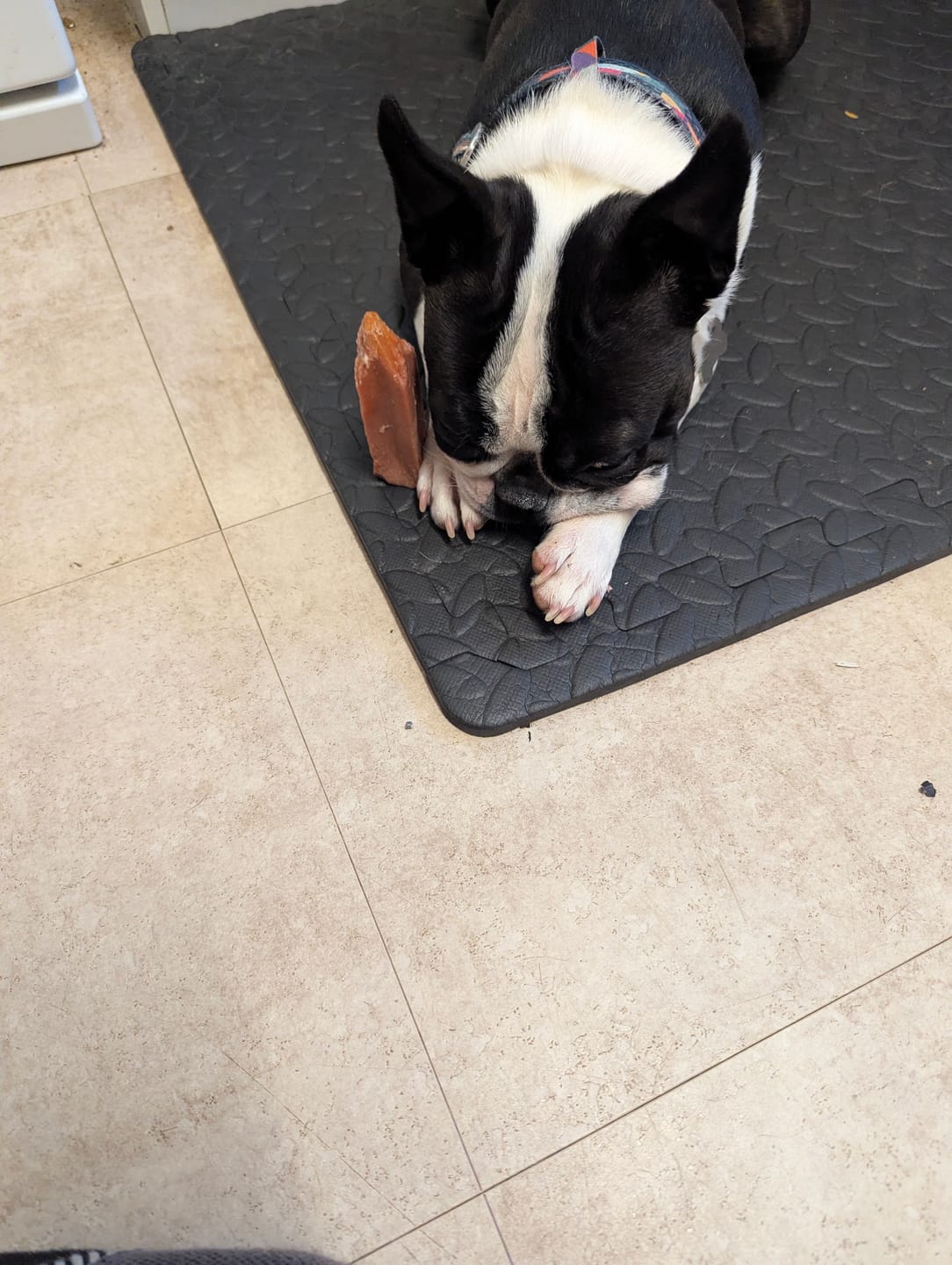 Customer photo review of Flavoured Yak chews (Bluberry Cranberry Strawberry)