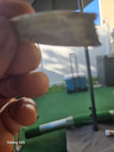 Fruity Pebbles OG - 28 Grams - Indica photo review