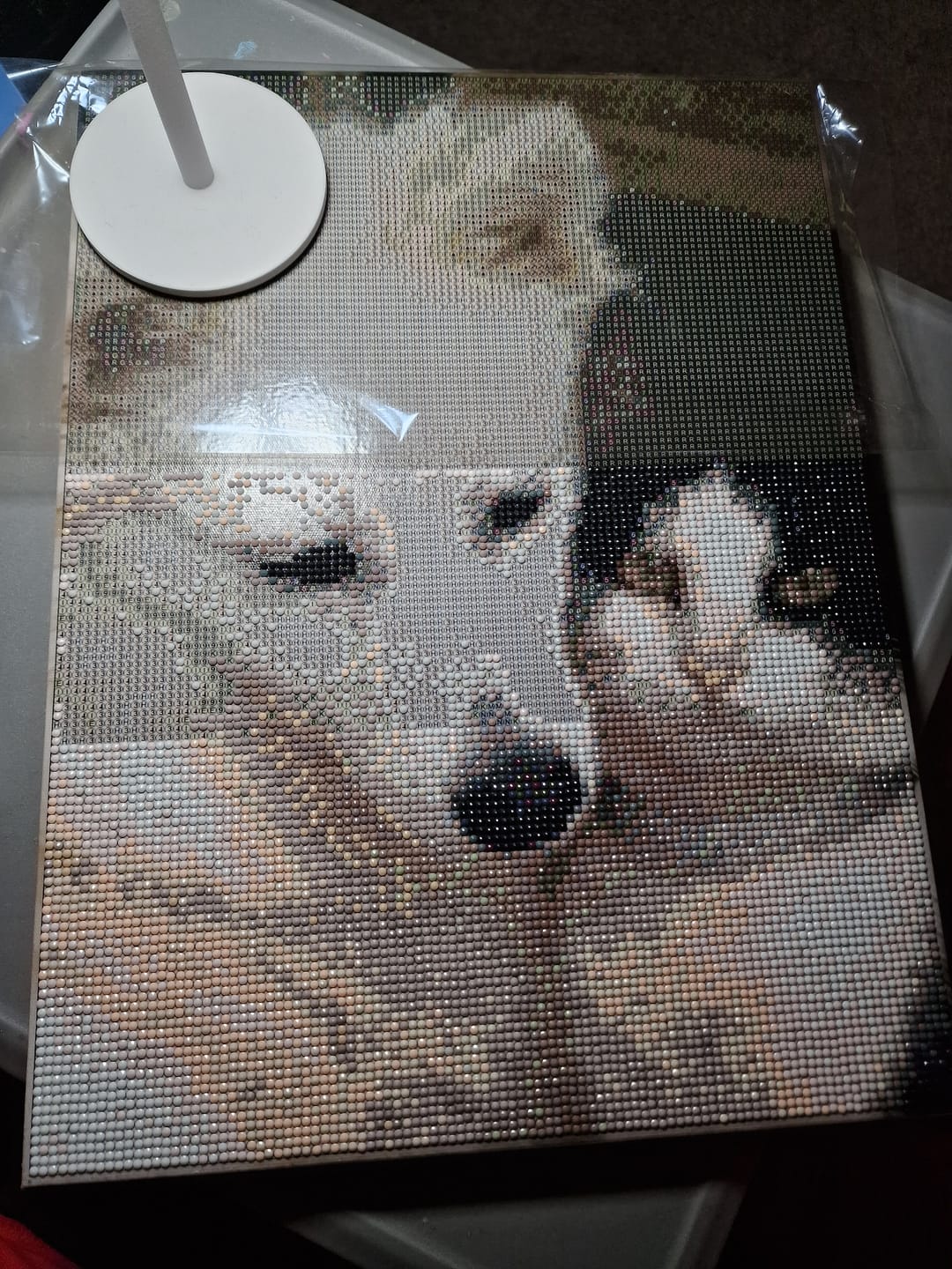 Customer photo review of Personalised Crystal Art Canvas Kit