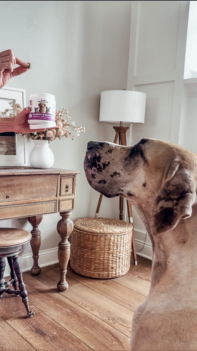 Customer photo review of Dog Allergy Chews for Itchy Skin, Paw Licking & Seasonal Allergies – Immune Support, 120 Soft Chews (Beef Flavor)
