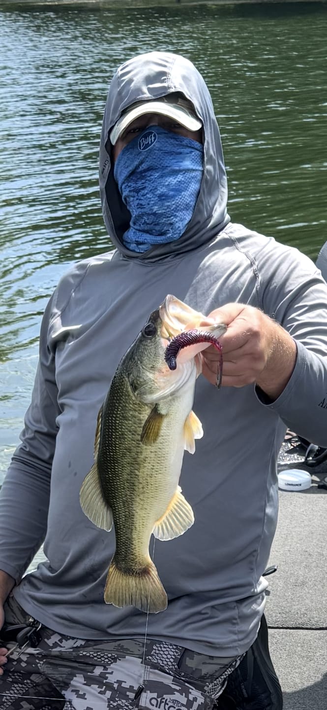 Customer photo review of 97% Tungsten Worm Weights for Texas Rigs | 2 Colors 5 Pack