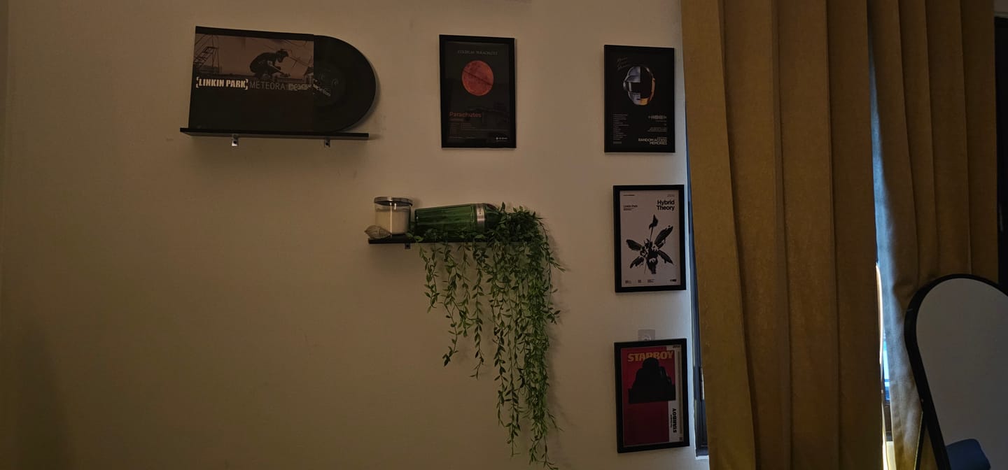 Customer photo review of VINYL RECORDS - LINKIN PARK