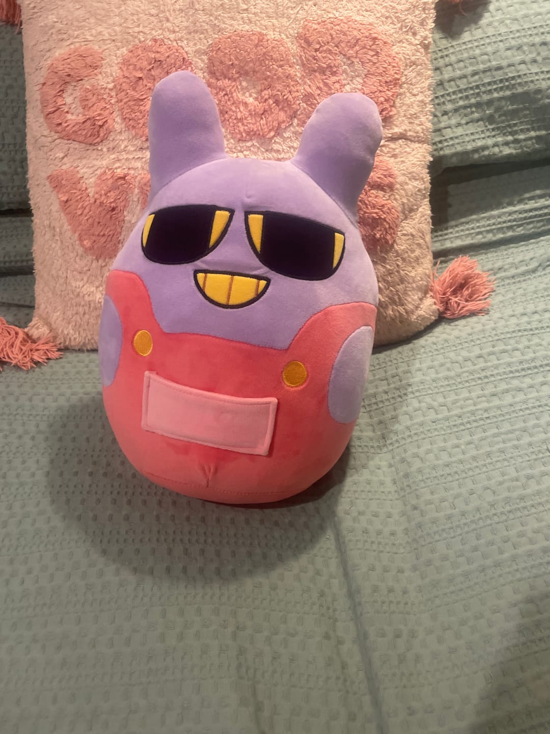 Customer photo review of Jax Chonk Plush