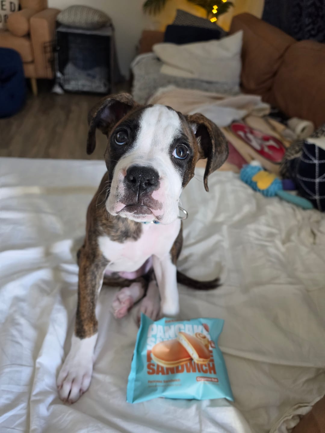 Customer photo review of Sample Pack