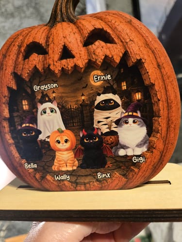 Customer's personalized wooden Spooky Halloween Pumpkin Cat plaque featuring six cats named in a pumpkin frame.