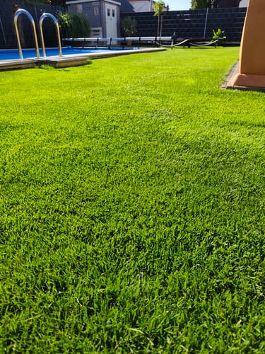 Kunden-Rasen behandelt mit RASENBLITZ™ - SOMMERDÜNGER, sattgrüne Fläche neben einem Swimmingpool