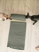 Customer photo review of Ancrage™ — Tapis et coussin d’acupression