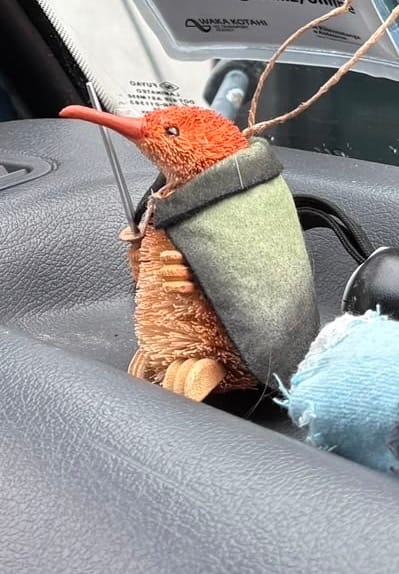 Customer photo review of Cute Medieval NZ Brush Kiwi Bird Xmas Ornament