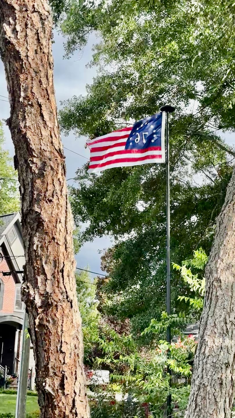 Customer photo review of 3' x 5' Bennington Flag