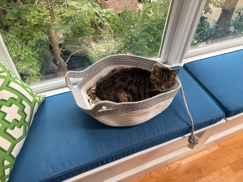 Customer's brown tabby cat resting comfortably inside an Instinct Basket on a window seat.