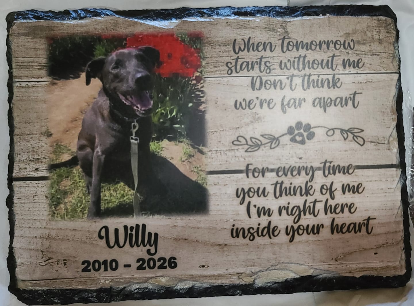 Customer photo review of Pet Bereavement Gifts Cat Memorial Plaque When tomorrow starts without me  Cat loss Personalized Keepsake