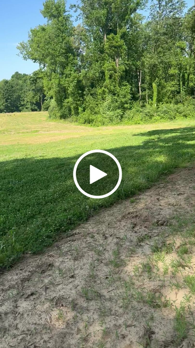 Customer video review of Clutch Clover™