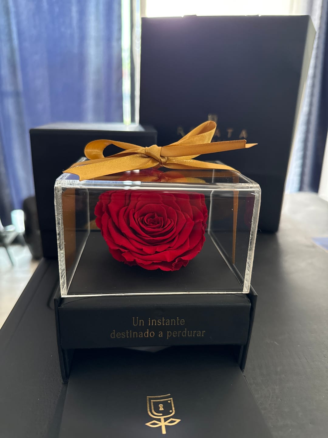 Customer photo review of Elegance