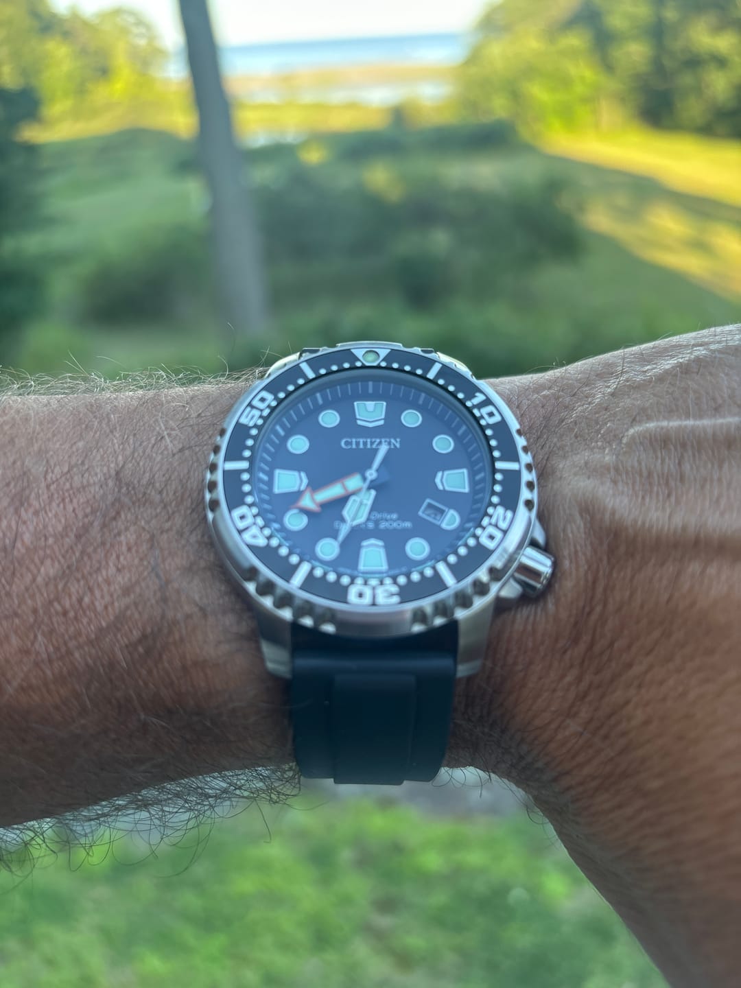Customer photo review of FKM Rubber Watch Strap - Black