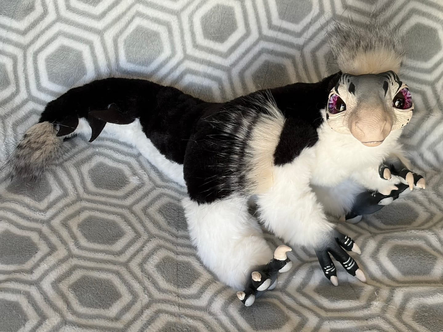 Customer photo review of Mercurian raptor - black and white