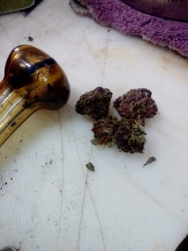 Granddaddy Purple - Minis - 14 Grams - Indica photo review
