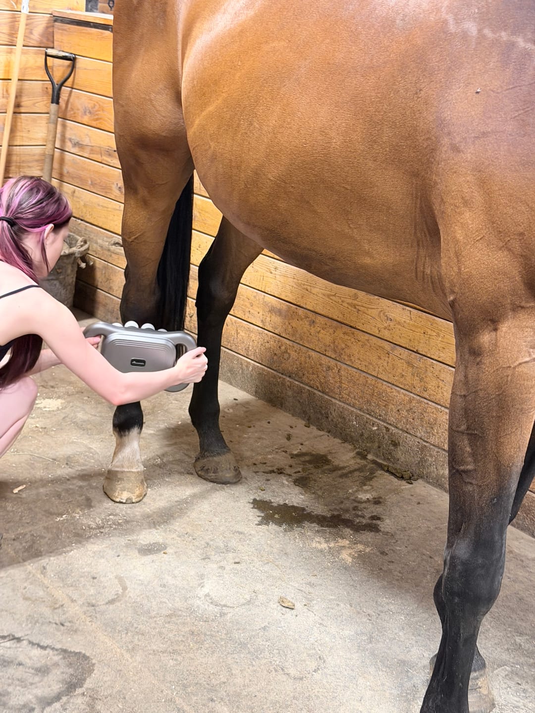 Customer photo review of HorseHalo™ 8 Heads Red Light Massage Gun