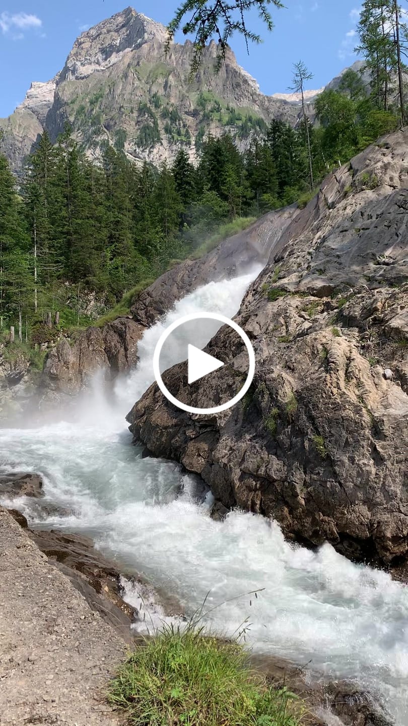 Customer video review of bleibgsund - prosta