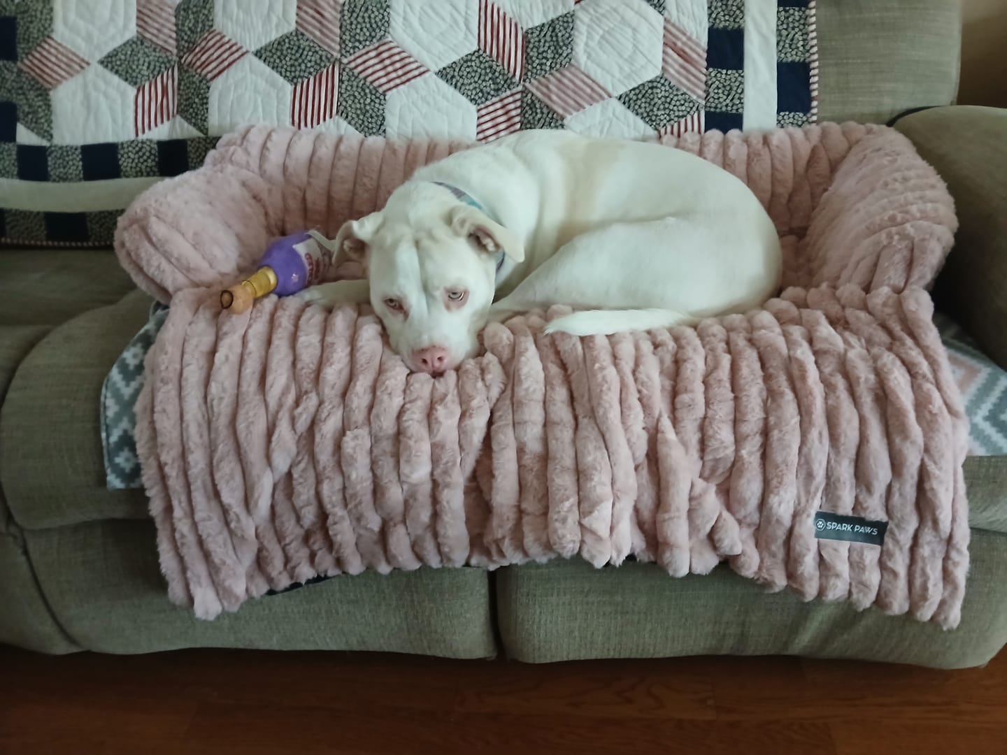 Customer photo review of Luxury Couch Cover Dog Bed - Pink