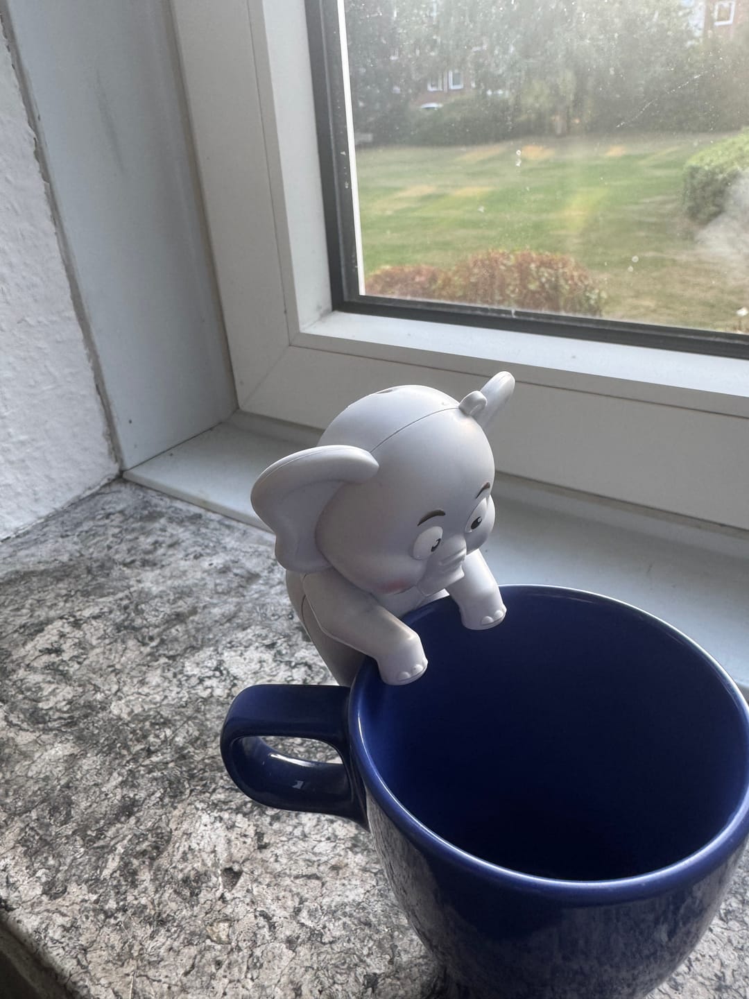 Customer photo review of Babynahrungskühler