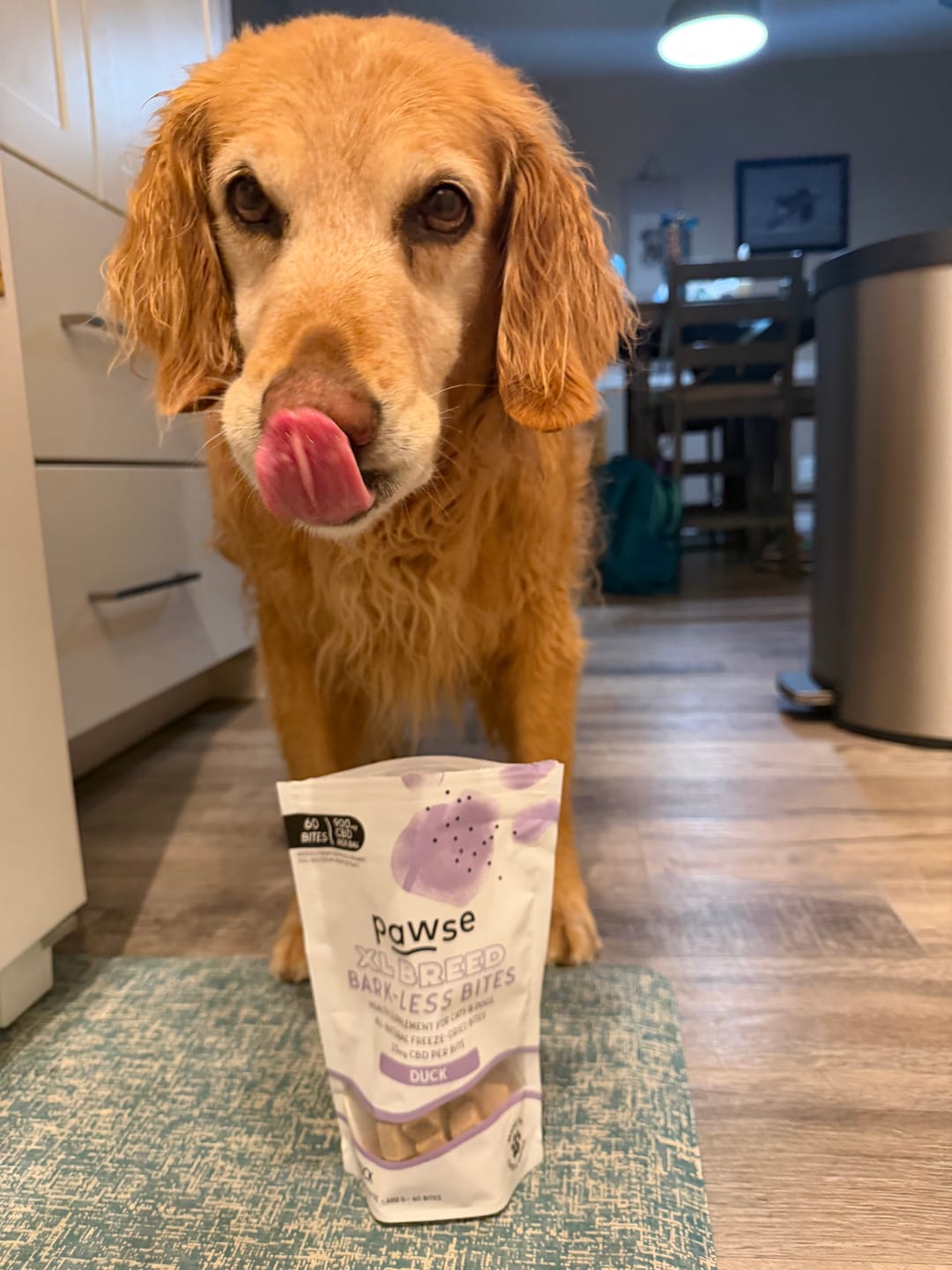 Customer photo review of Bark-Less Bites - XL Breed